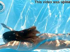 Ivi Reins令人印象深刻的潜水技巧和娇小的身材,为迷人的观看体验增添了情趣。